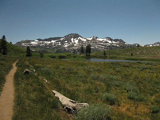 Carson Gap Pond appears